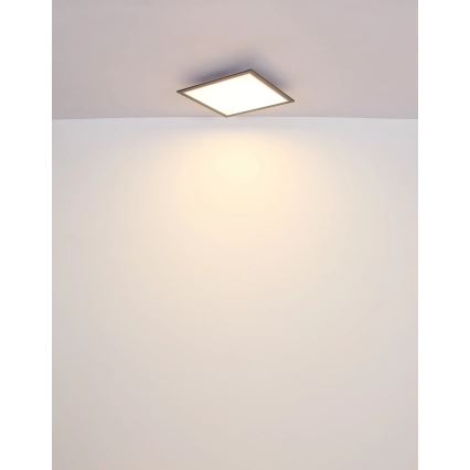 Globo - LED Plafondlamp LED/24W/230V