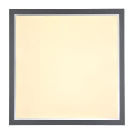 Globo - LED Plafondlamp LED/24W/230V