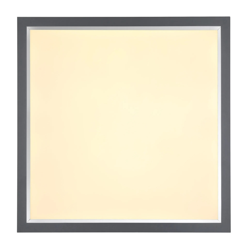 Globo - LED Plafondlamp LED/24W/230V
