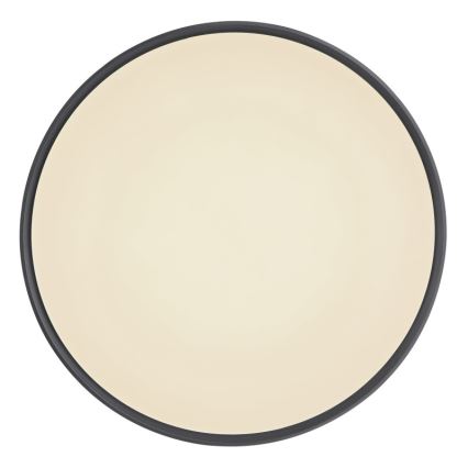 Globo - LED dimbare plafondlamp LED/24W/230V + afstandsbediening