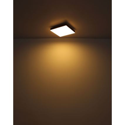 Globo - LED Plafondlamp LED/18W/230V 30x30 cm zwart