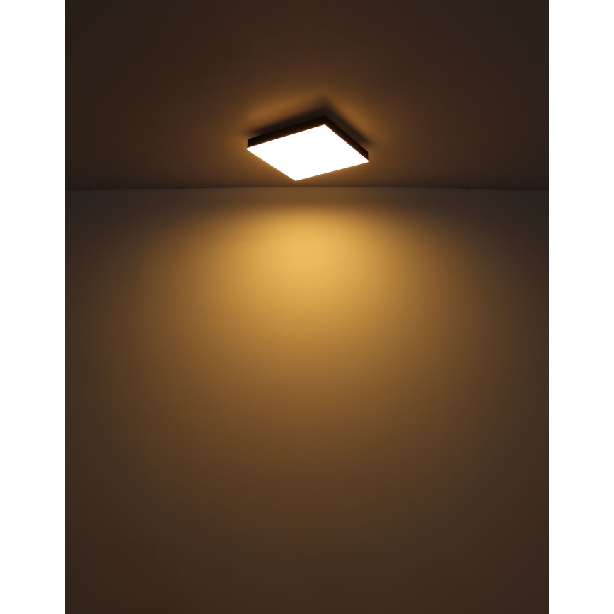 Globo - Dimbare LED plafondlamp LED/24W/230V 2700-6500K zwart + afstandsbediening
