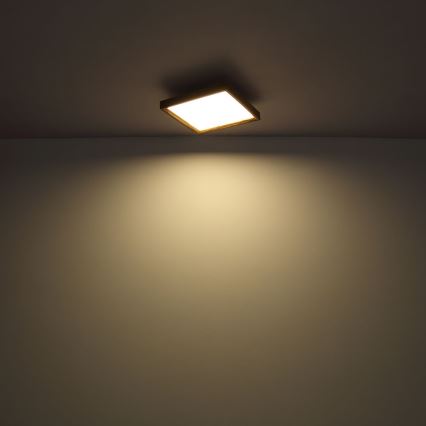 Globo - LED Plafondlamp LED/12W/230V 2700/4500/6500K 30x30 cm