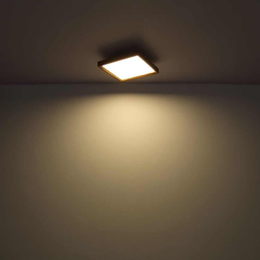 Globo - Plafonnier LED LED/24W/230V 45cm 2700/4500/6500K