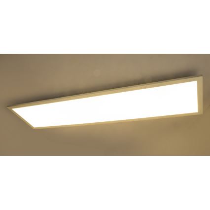 Globo - LED Paneel voor Oppervlak Montage LED/40W/230V