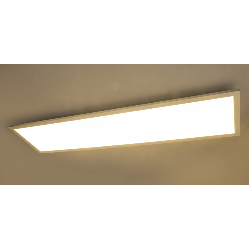 Globo - LED Paneel voor Oppervlak Montage LED/40W/230V