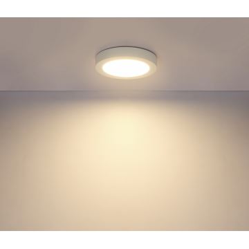 GLOBO 41605-18 - Plafonnier LED salle de bain PAULA 1xLED/18W/230V IP44