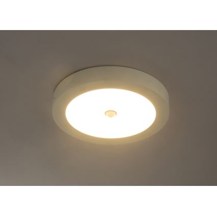 Globo - LED plafondlamp voor buiten met sensor LED/18W/230V IP44