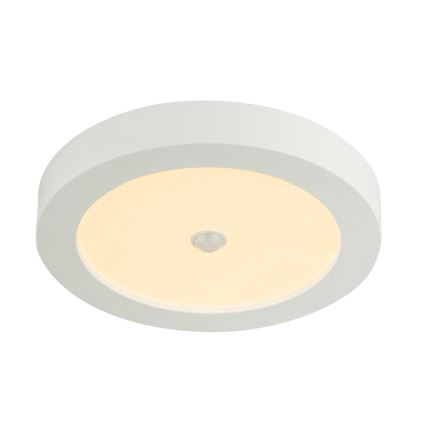 GLOBO 41605-18S - PAULA LED Buiten plafondlamp met sensor 1xLED/18W/230V