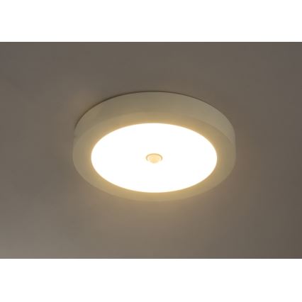 GLOBO 41605-18S - PAULA LED Buiten plafondlamp met sensor 1xLED/18W/230V