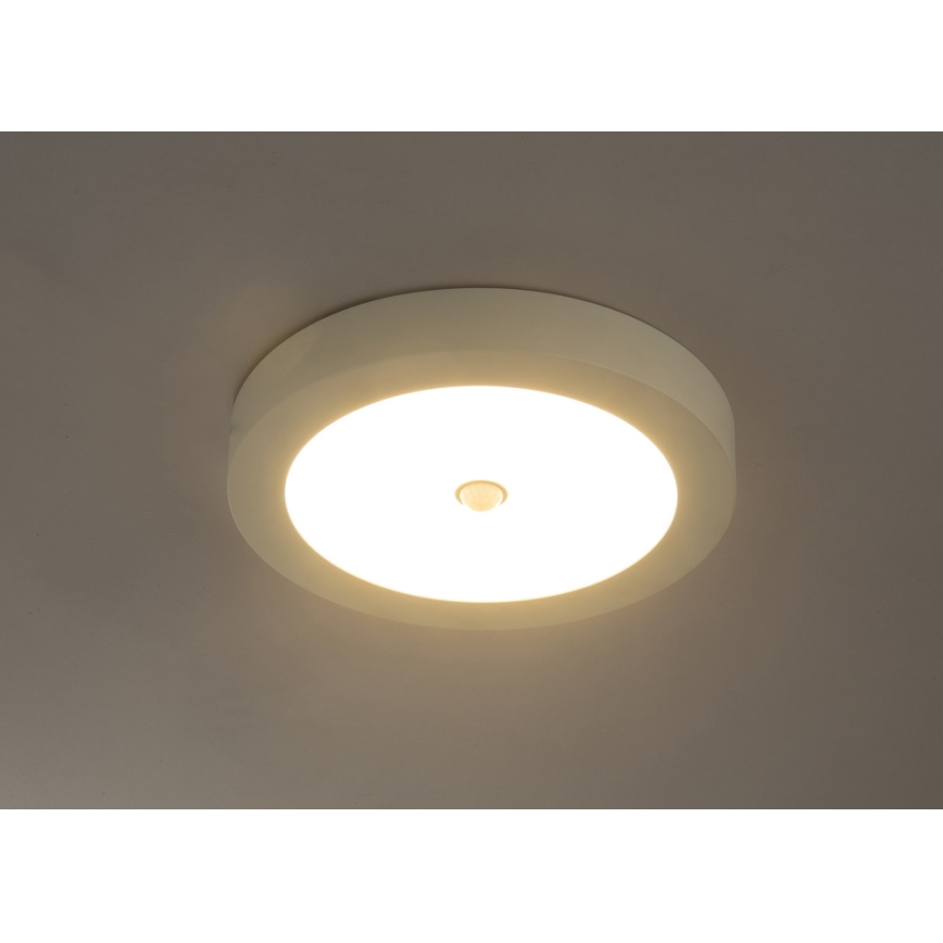 GLOBO 41605-18S - PAULA LED Buiten plafondlamp met sensor 1xLED/18W/230V