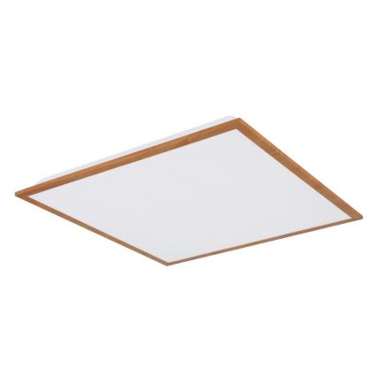 Globo - LED Plafond Lamp LED/24W/230V