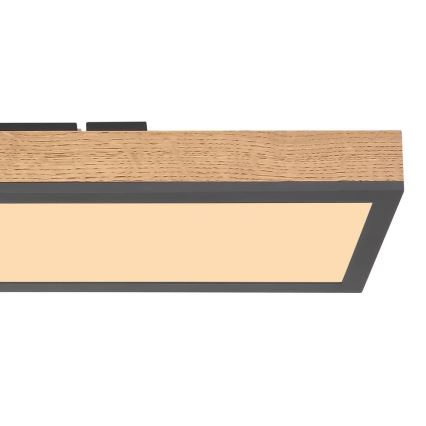 Globo - Plafonnier  LED/18W/230V