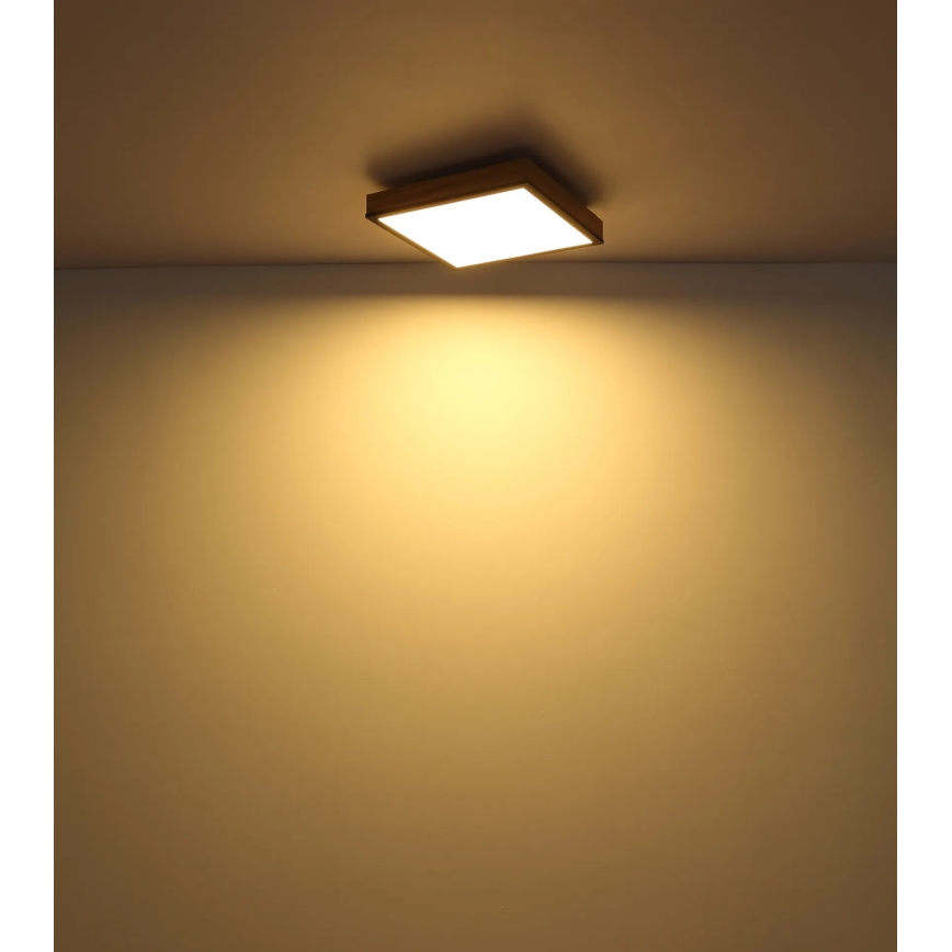 Globo - Dimbare LED-plafondlamp LED/24W/230V 3000-6500K 45x45 cm