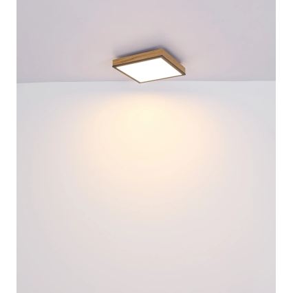 Globo - Dimbare LED-plafondlamp LED/24W/230V 3000-6500K 45x45 cm