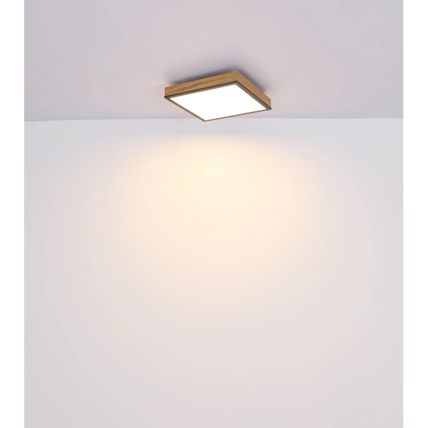 Globo - Dimbare LED-plafondlamp LED/24W/230V 3000-6500K 45x45 cm