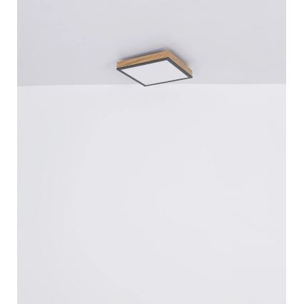 Globo - Dimbare LED-plafondlamp LED/24W/230V 3000-6500K 45x45 cm