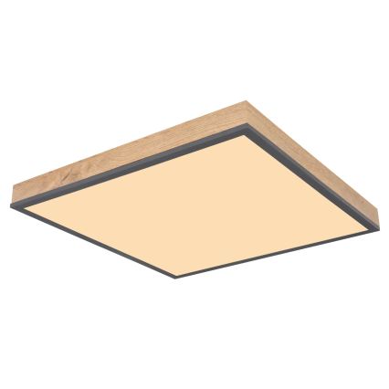 Globo - Dimbare LED-plafondlamp LED/24W/230V 3000-6500K 45x45 cm