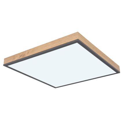 Globo - Dimbare LED-plafondlamp LED/24W/230V 3000-6500K 45x45 cm