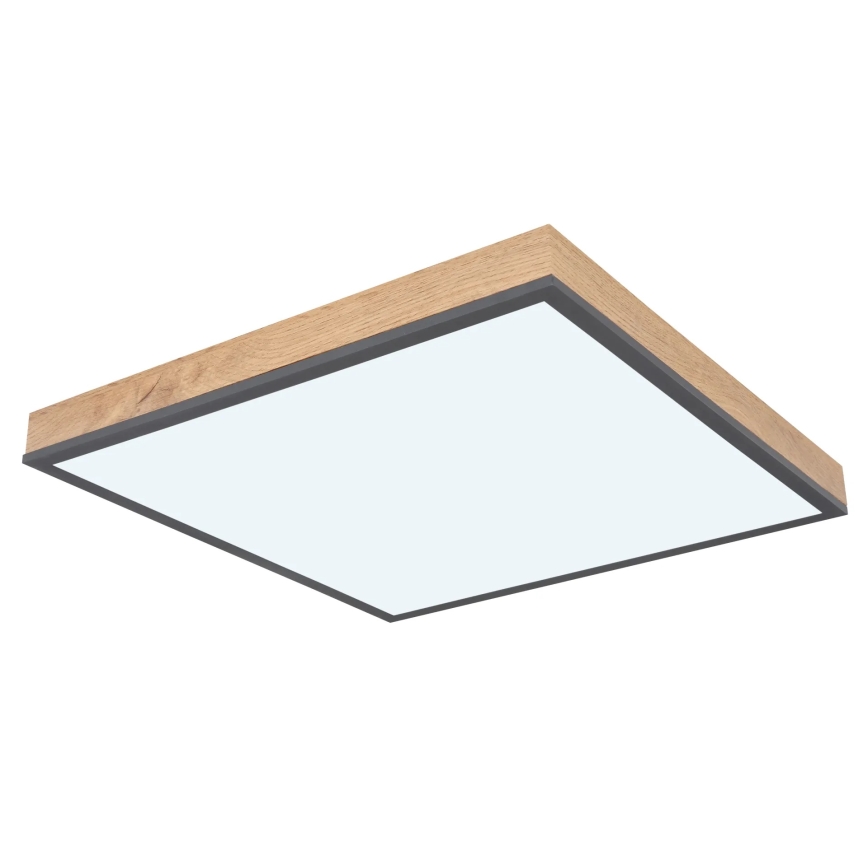 Globo - Dimbare LED-plafondlamp LED/24W/230V 3000-6500K 45x45 cm