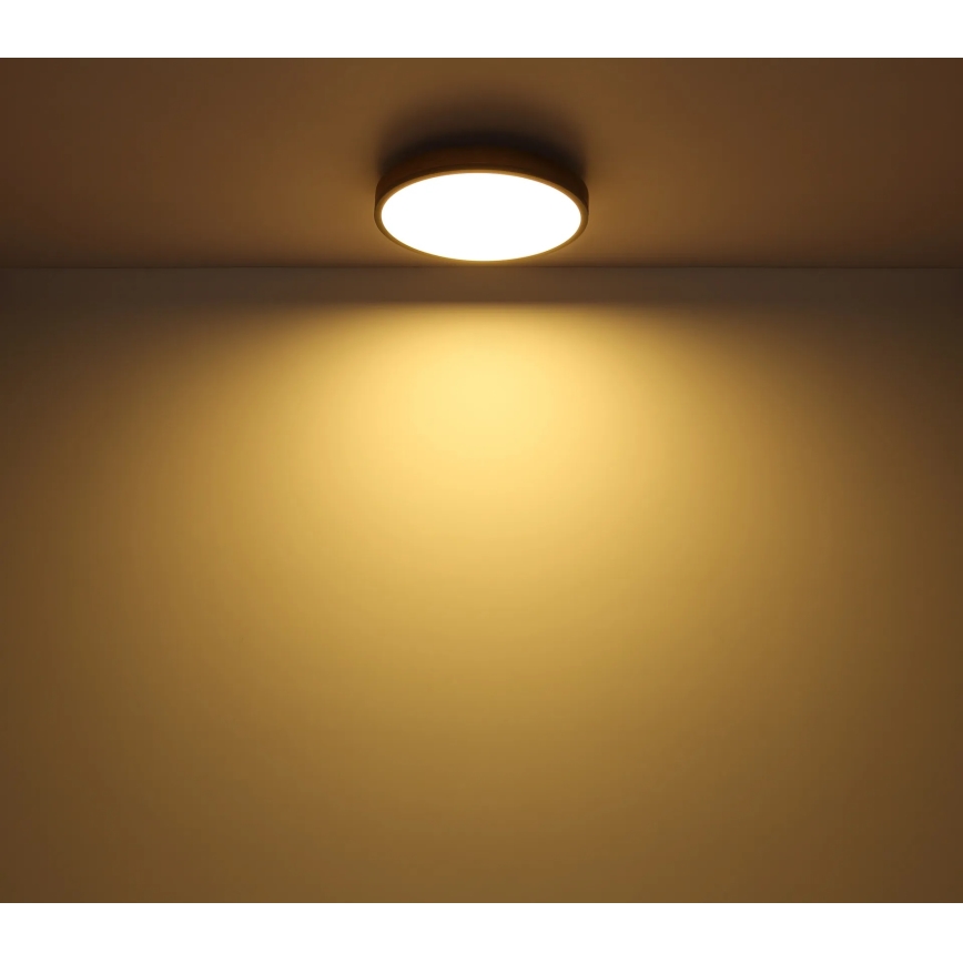 Globo - Dimbare LED-plafondlamp LED/24W/230V 2700-6500K Ø 45 cm