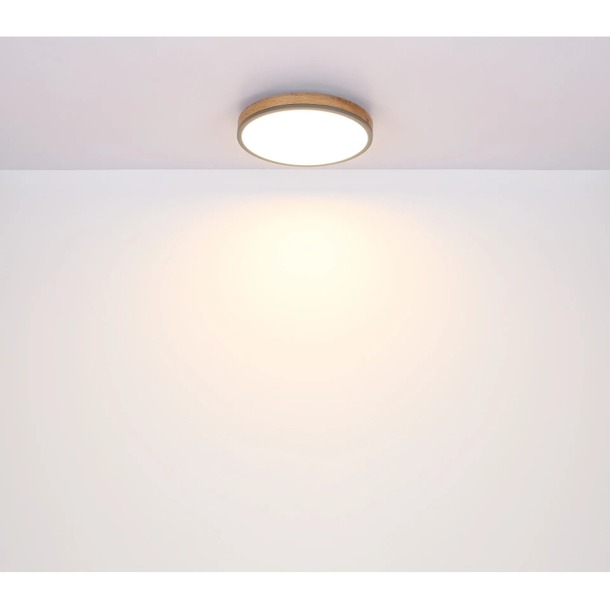 Globo - Dimbare LED-plafondlamp LED/24W/230V 2700-6500K Ø 45 cm
