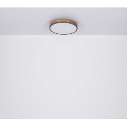 Globo - Dimbare LED-plafondlamp LED/24W/230V 2700-6500K Ø 45 cm