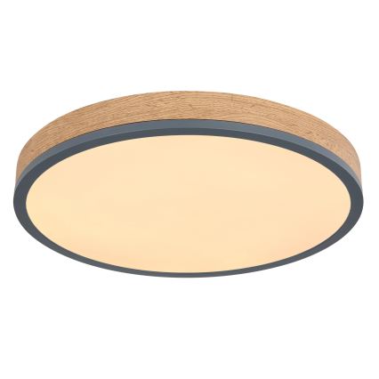 Globo - Dimbare LED-plafondlamp LED/24W/230V 2700-6500K Ø 45 cm