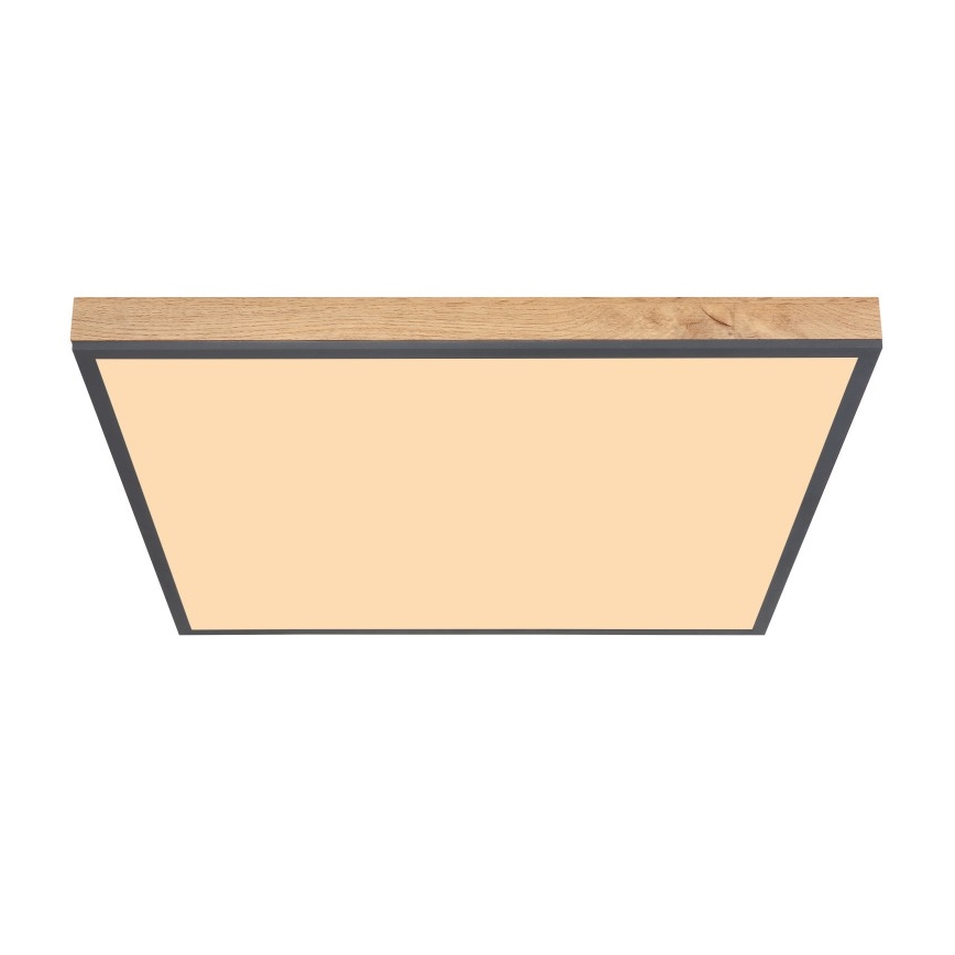 Globo - LED Plafond Lamp LED/36W/230V