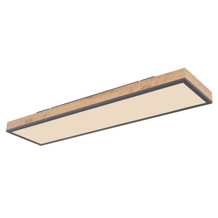 Globo - Dimbare LED Plafondlamp LED/24W/230V 2700-6500K + afstandsbediening