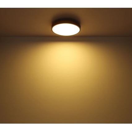 Globo - Dimbare LED plafondlamp LED/40W/230V 2700-6500K diameter 60 cm + afstandsbediening bruin/grijs