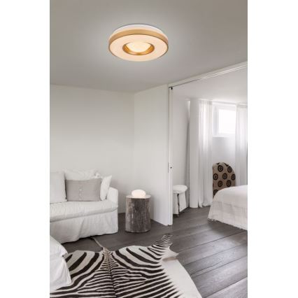 Globo - LED Plafondlamp LED/24W/230V