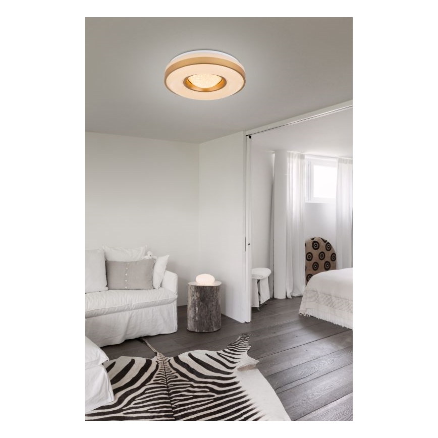 Globo - Plafonnier LED/24W/230V