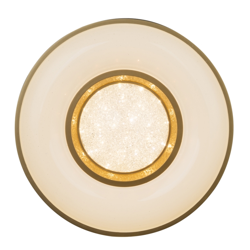 Globo - Plafonnier LED/24W/230V