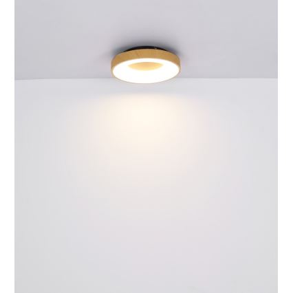 Globo - Dimbare LED plafondlamp LED/30W/230V + afstandsbediening