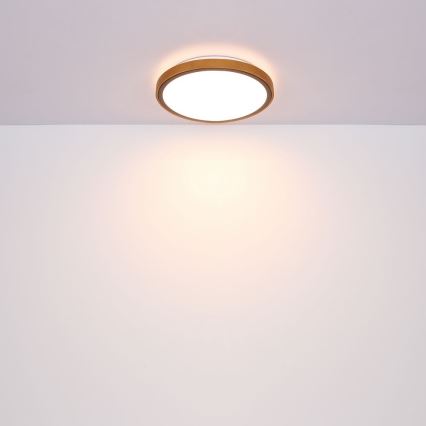 Globo - LED Plafondlamp LED/12W/230V 307 mm 3000/4500/6000K