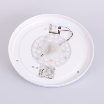 Globo - Plafonnier LED LED/12W/230V 307 mm 3000/4500/6000K