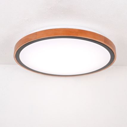 Globo - LED plafondlamp LED/24W/230V 3000/4500/6000K Ø 43,7 cm