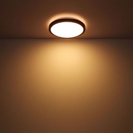 Globo - LED Plafondlamp LED/24W/230V 3000/4500/6000K diameter 43,7 cm