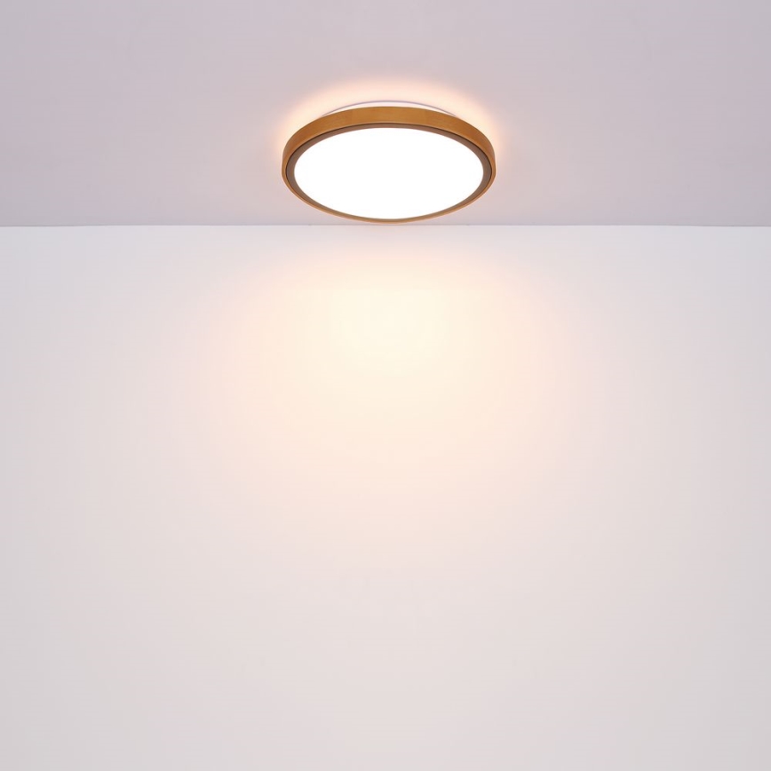 Globo - LED Plafondlamp LED/24W/230V 3000/4500/6000K diameter 43,7 cm