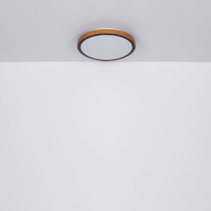 Globo - LED Plafondlamp LED/24W/230V 3000/4500/6000K diameter 43,7 cm