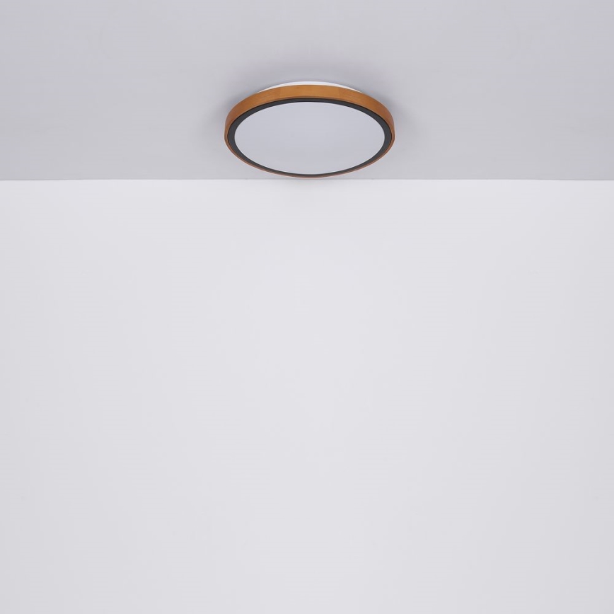 Globo - LED Plafondlamp LED/24W/230V 3000/4500/6000K diameter 43,7 cm