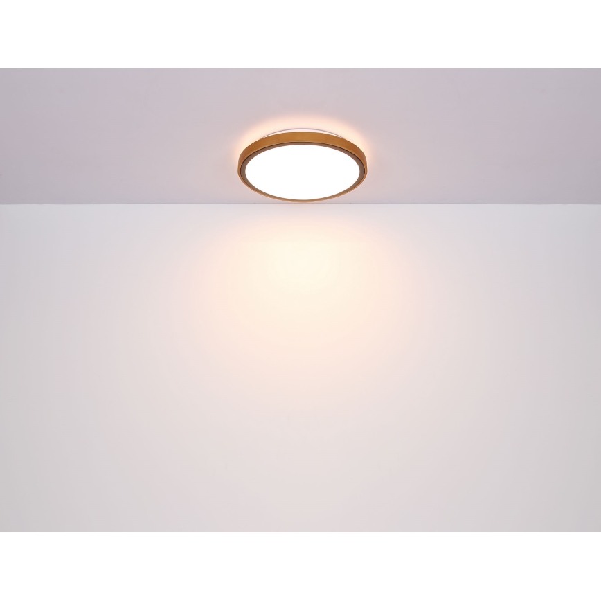 Globo - LED Plafondlamp LED/24W/230V 3000/4500/6000K diameter 42 cm