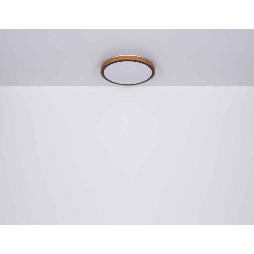 Globo - LED Plafondlamp LED/24W/230V 3000/4500/6000K diameter 42 cm