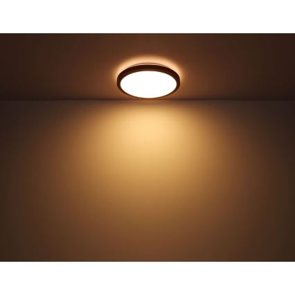 Globo - Plafonnier LED/12W/230V 3000/4500/6000K d. 30 cm