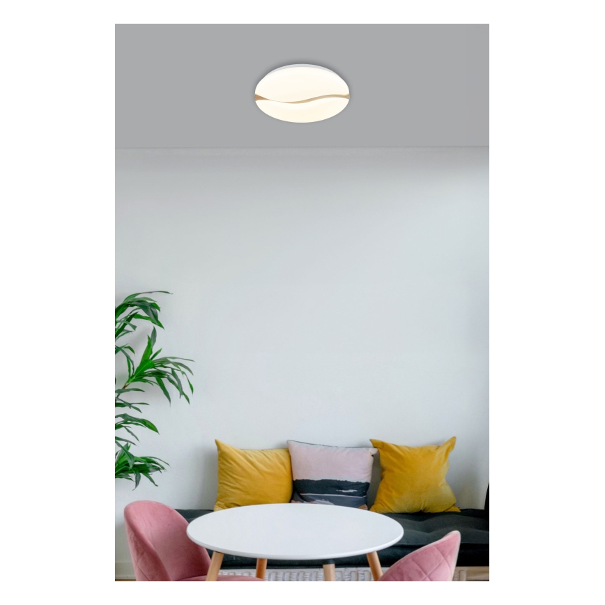 Globo - Plafonnier LED/24W/230V 3000/4200/6000K d. 33 cm
