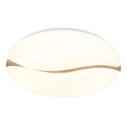 Globo - Plafonnier LED/24W/230V 3000/4200/6000K d. 33 cm