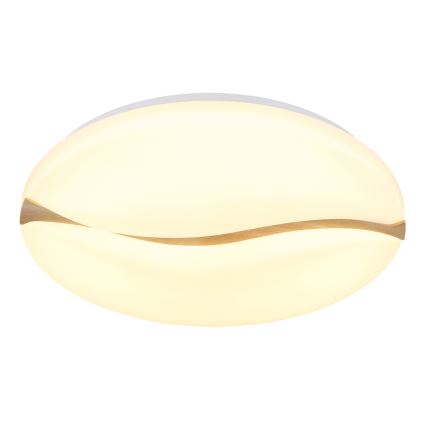 Globo - Plafonnier LED/24W/230V 3000/4200/6000K d. 33 cm