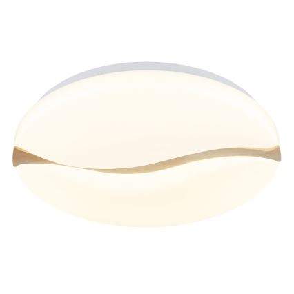 Globo - LED Plafondlamp LED/24W/230V 3000/4200/6000K Ø 39 cm