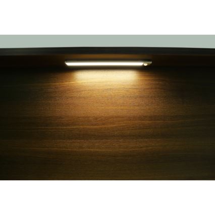 Globo - Applique LED rechargeable dimmable LED/2,5W/5V 4000K 1100 mAh 40 cm